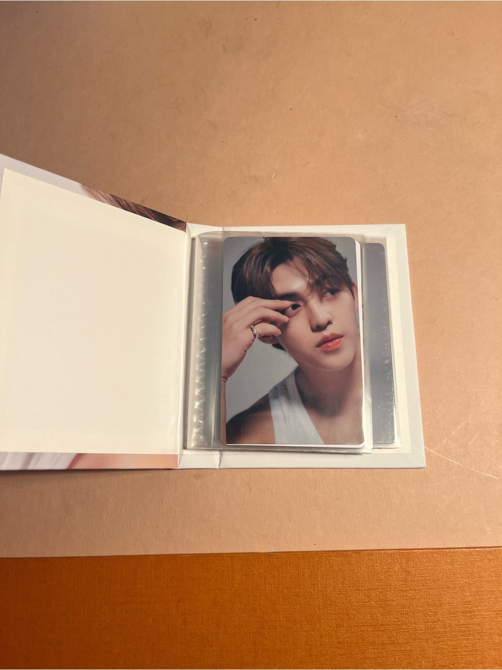 17 Is right here cast s.coups mini card holder - K- POP - Picture 2 of 6